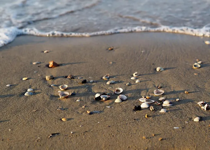 Garden Retreat Steps From The Pool Apartment